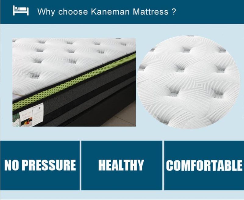 Wholesale Spring Mattress Latex Bed Mattress Rolled Pack in Box