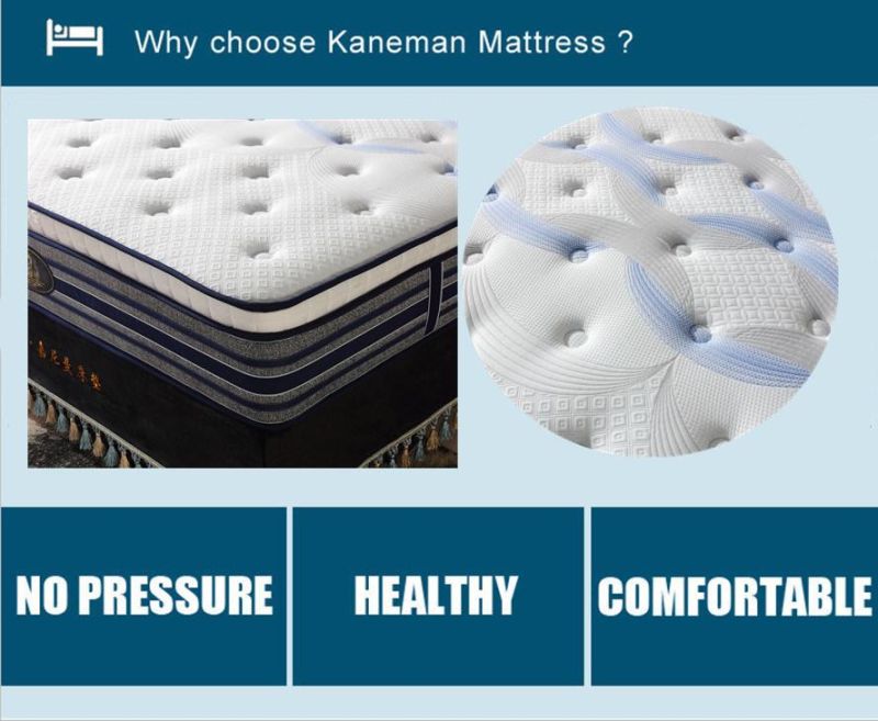 Natural Latex Mattress Foam Encased Pocket Spring Mattress Bed Mattress in a Box