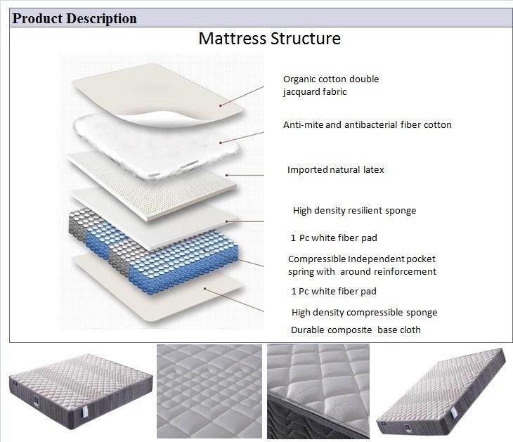 China Manufacturers New Design European Latex Cotton Fabric Mattress