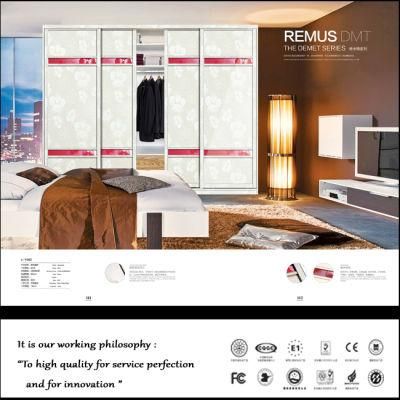 2017 New Walk in Wardrobe for Home Furniture