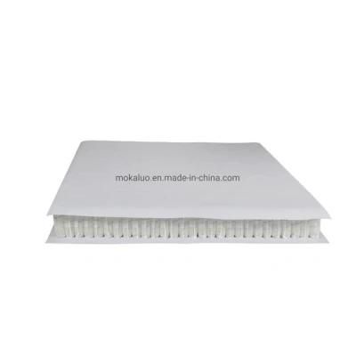 Common Independent Pocket Spring Net/Coil Spring with Pk Felt