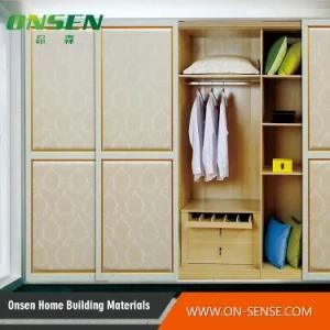 Modern Sliding Doors for Closets