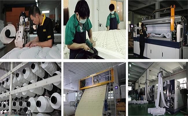 King Size Mattress Luxury Bedroom Furniture Latex Foam Euro-Top Mattress