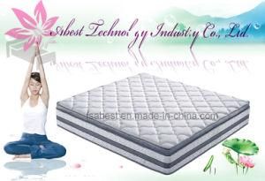 Euro Box Top Compression Spring Natural Latex Mattress