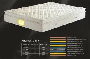 Memory Foam Pocket Spring Mattress, Luxury Hotel Mattress (Andrew-RH085)