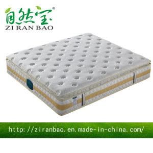New Model Sun Bed Soft Coir Spring Mattress (ZRB-815)