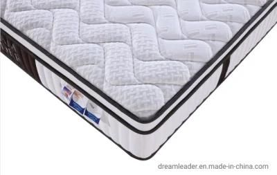 New Rectangular Dreamleader/OEM Compress and Roll in Carton Box Casper Backcomfort