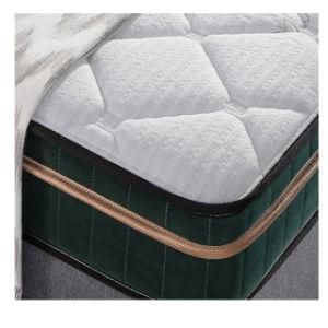 Memory Foam + Latex Soft Others Medium Portable Dreamleader Mattress