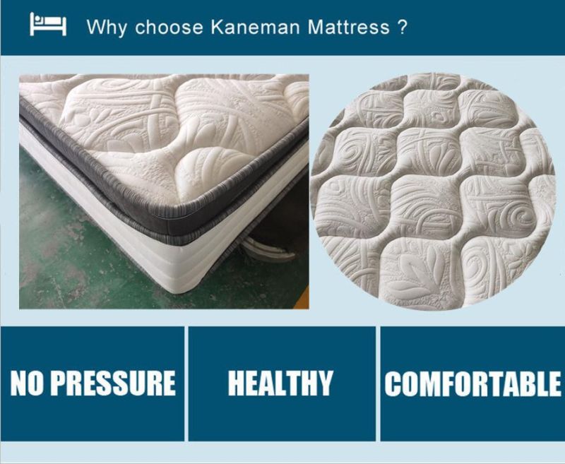 King Size Mattress Bonnell Spring Mattress Roll up Packed Hotel Mattress
