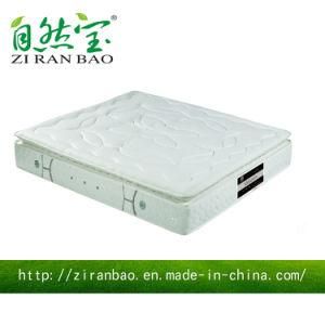 New Design China Memory Foam Single Spring Mattress