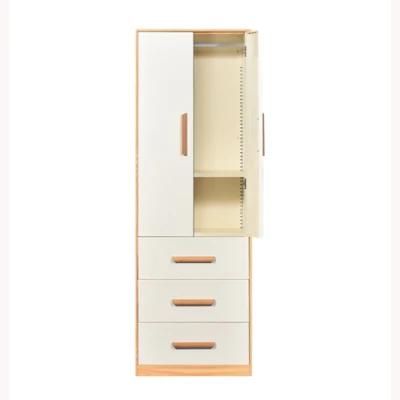 Modern Steel 2 Door Clothing Hanging Rack Metal Wardrobe with Drawer