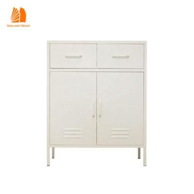 Multi-Colour Modern Furniture Cabinet with Two Drawers