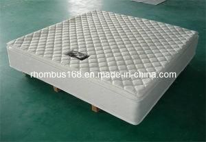 Pillow Top Pocket Spring Mattress|Spring Mattress-Rh510