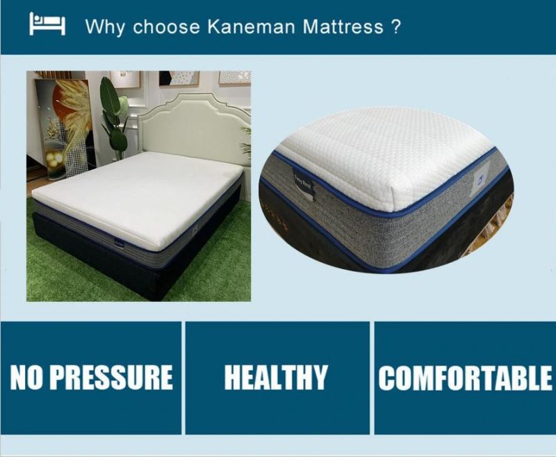 Top Rated Custom Hybrid Latex Mattress Manufacturer Supply King Size Bed Roll Pack Mattress