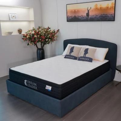 Home Rectangular Dreamleader/OEM Compress and Roll in Carton Box Novilia New Mattress