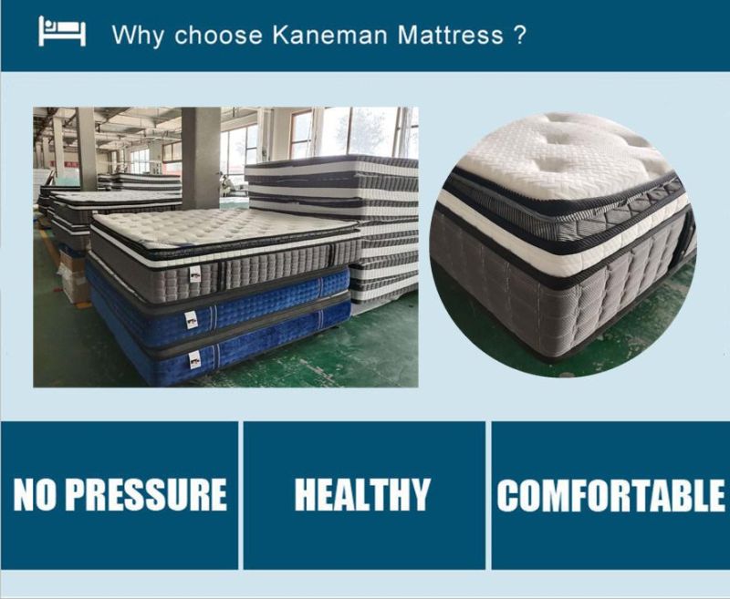 Vacuum Packed Mattress Memory Foam Mattress Pocket Spring Mattress