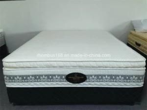 Spring Mattress|Pillow Top Design Spring Mattress with Latex (RH-630)