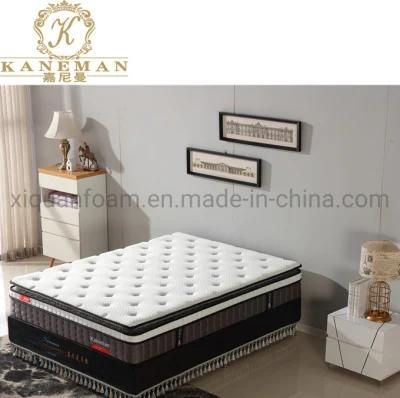 Wholesale Price Mattress Pillow Coil Spring Mattress Bed Mattress