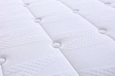 Hotel Home Dreamleader/OEM Compress and Roll in Carton Box Bed Sheet Mattress