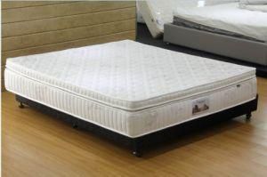 Latex Spring Mattress