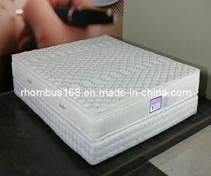 Bamboo Fabric Memory Foam Spring Mattress, Viscoelastic Mattress (RH1410)