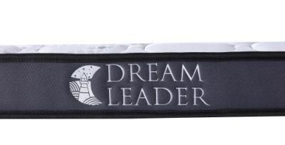 Dreamleader/OEM Medium Compress and Roll in Carton Box Dream Backcare