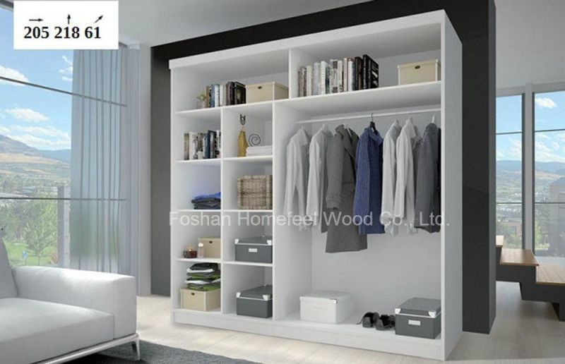 Popular White Mirror Living Room Wardrobe Closet (HF-EY062)