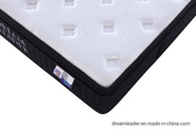 New Home Dreamleader/OEM Compress and Roll in Carton Box Walmart Sprung Mattress