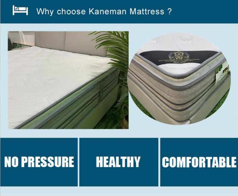 Spring Mattresses 2022 Rolled Bed Mattress in a Box Full Sizes Mattress