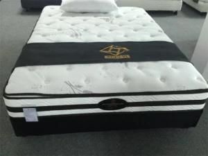 Sleepwell Pocket Spring Bedroom Furniture Natural Latex Mattress (RH-631)