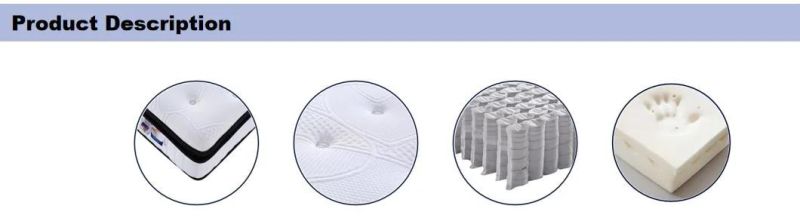 Pillow Top Memory Foam Mattresses Rolling-up Pocket Spring Mattress