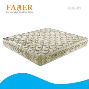 Hot Sale 3e Coconut Palm Mattress with High Quality