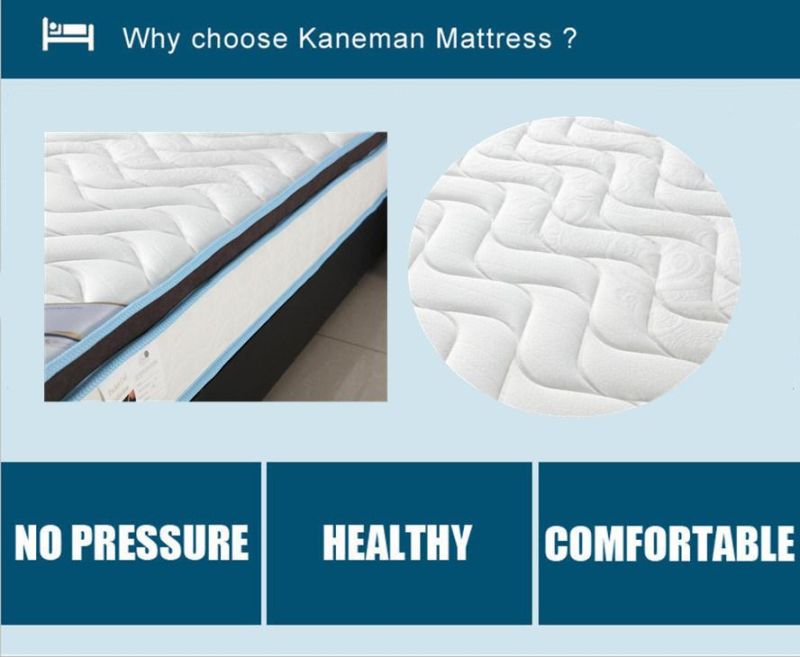 Customized Foam Mattress Bed Spring Mattress Roll up Packed