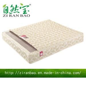 Popular King Rolled Memory Latex Pocket Spring Mattress