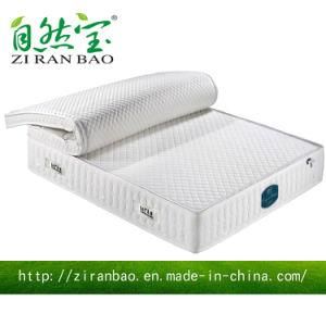 Separable Nature Sleep Latex Pocket Spring Mattress (ZRB-863)