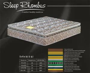 Bonnell Spring Hotel Mattress, Home Bedroom Mattress--Sofia (RH124)