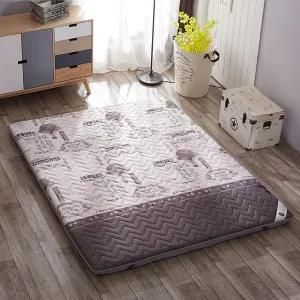 Student Soft 3e Coconut Coir Mattress for Sale