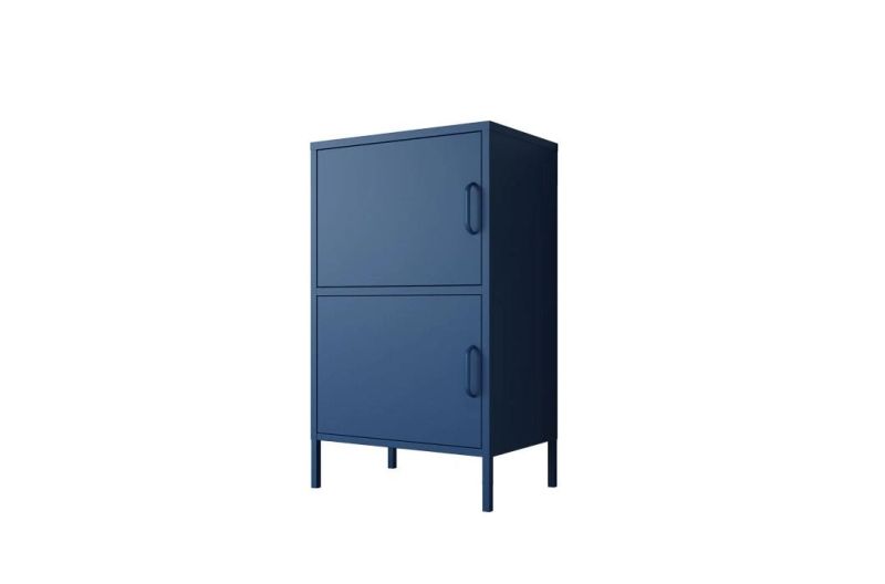 Great Quality Two Swing Door Cabinet with 2 Handle
