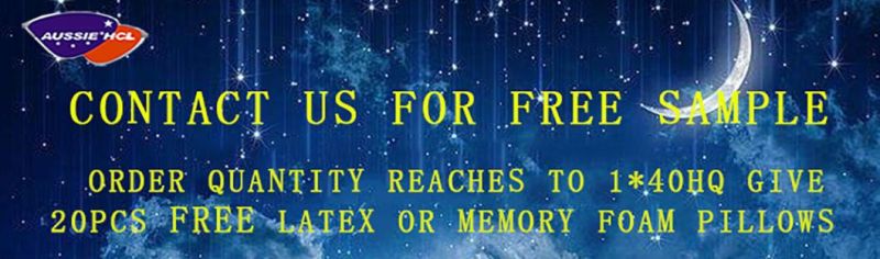 Quality Floor Mattress Japanese High Density Memory Foam Outdoor Foam Tri Fold Guest Mattresses
