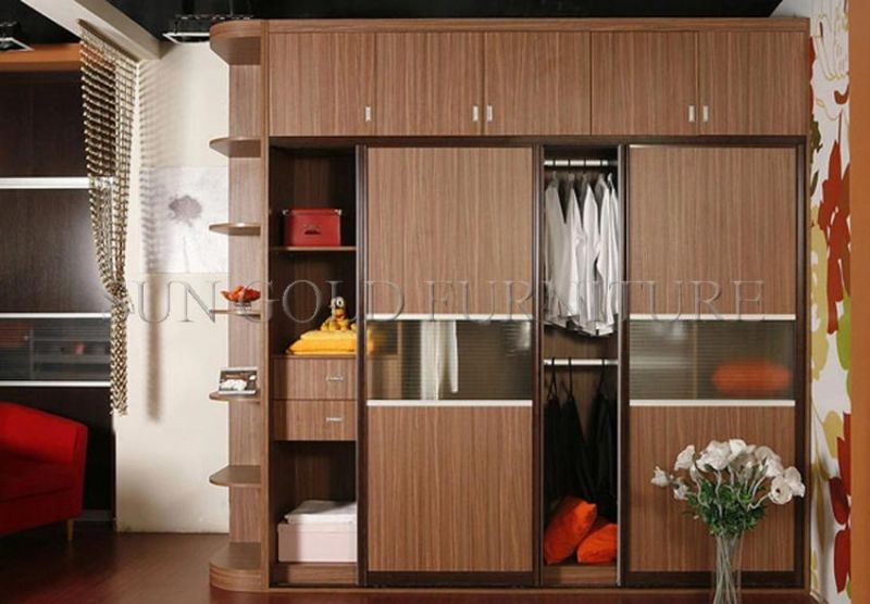 Modern 2 Doors Wardrobe Sets with Mirror (SZ-WD016)