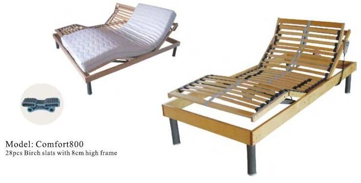 Simple Basic Model All Birch Slat Electric Bed with Back Foot Rise up and Down