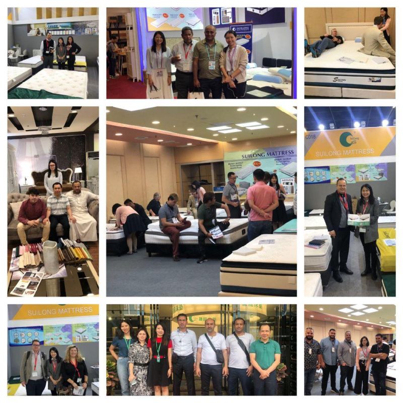 Rolled Mattress Bedroom Furniture Factory Latex Spring Mattress