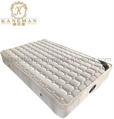 Bonnell Spring Mattress Rolled in Box Hotel Use