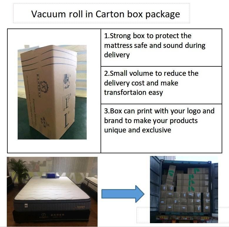 10 Inch Luxury Latex Pocket Spring Mattress Vacuum Roll up in a Box