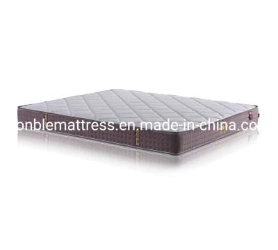 Tip Top Beautiful Design Wholesale Price Mattress