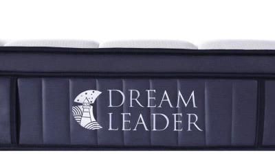 New Home Dreamleader/OEM Compress and Roll in Carton Box Waterproof Mattress Memory Foam