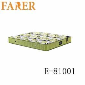 Double Size Coir Fiber Low Price Palm Mattress