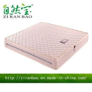 Qualitly Comfortable Compressed Wholesale Spring Mattress (ZRB-836)