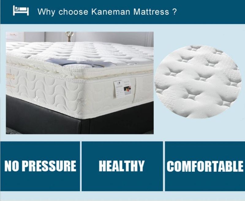 Latex Mattress Wholesale Pocket Spring Bed Mattress