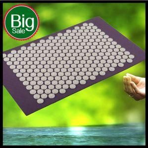 Shakti Acupuncture Massage Mat (QY-2RM-220)